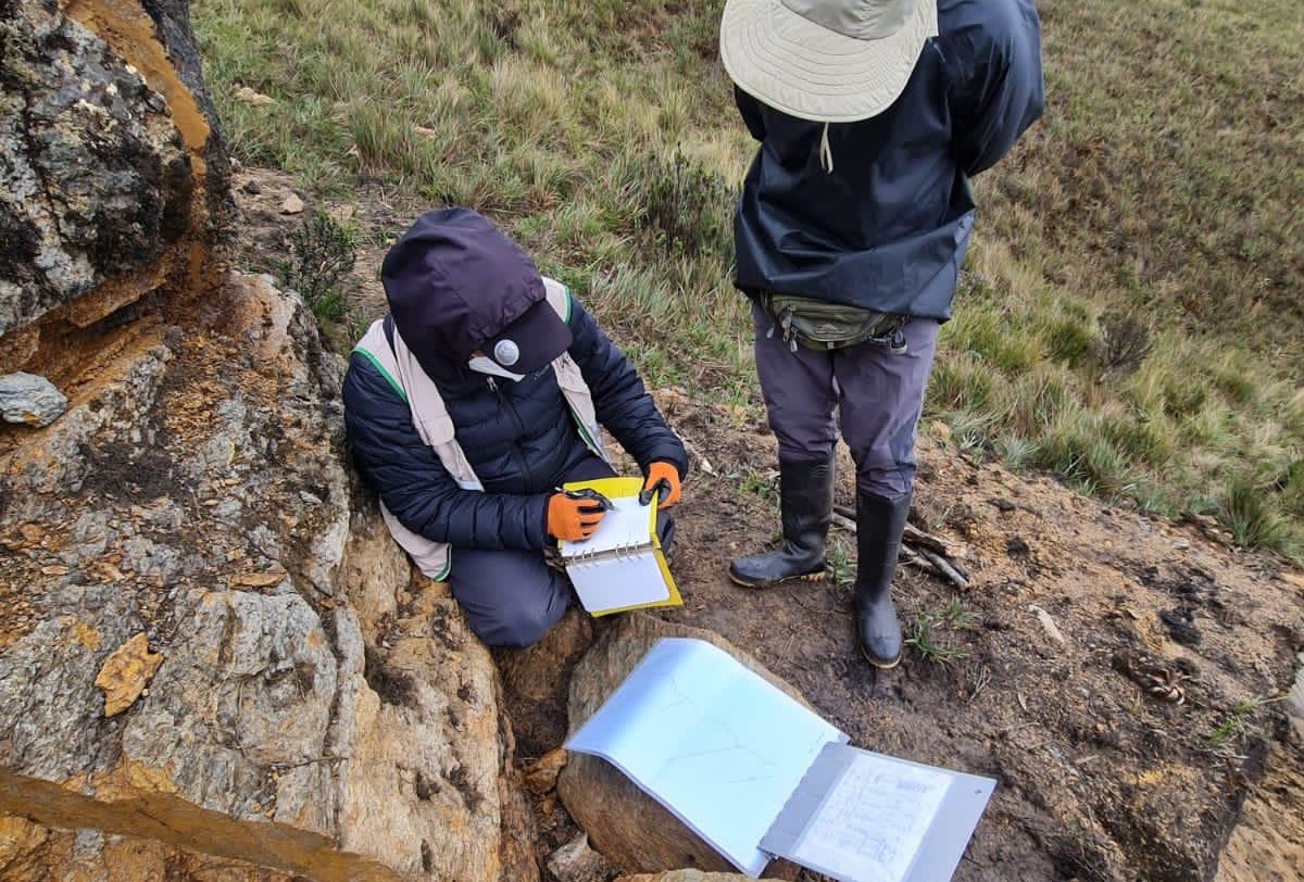 Aseguramiento y Control de Calidad (QA/QC) en la Exploración de Yacimientos Minerales